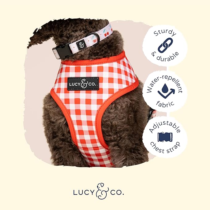 Lucy & Co. Cheery Cherries, Cute Reversible Dog Harness Walking Halter - Best Designer Pet Harnesses for XS - XL Dogs - Padded Adjustable Vest for Easy Walking (X-Large)