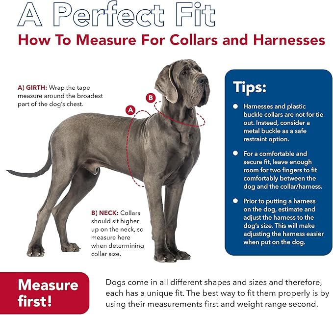 Coastal Pet SecureAway Collar Protector for Flea Collars - Adjustable pet Accessory - Protective Flea Collar for Dogs & Puppy - Multi Bones, 1" x 14-20"