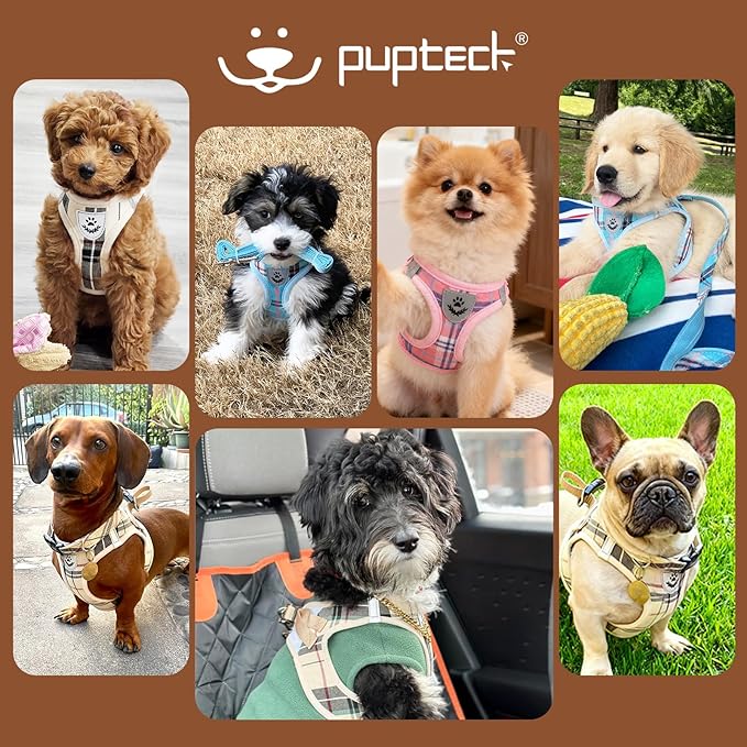 PUPTECK Adjustable Dog Harness Collar and Leash Set Step in No Pull Pet Harness for Small Medium Dogs Puppy and Cats Outdoor Walking Running, Soft Mesh Padded Reflective Vest Harnesses, Beige S