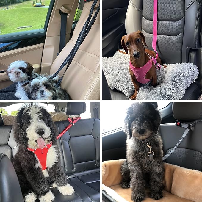 BWOGUE Pet Dog Cat Seat Belts, Car Headrest Restraint Adjustable Safety Leads Vehicle Seatbelt Harness (1 Pack, Orange, Elastic)