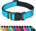 Reflective Dog Collar, Adjustable Soft Neoprene Padded Nylon Pet Collars with Buckle for Medium Dogs, Sky Blue,M