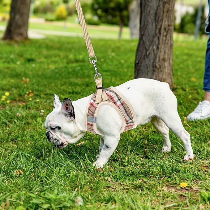 PUPTECK Adjustable Dog Harness Collar and Leash Set Step in No Pull Pet Harness for Small Medium Dogs Puppy and Cats Outdoor Walking Running, Soft Mesh Padded Reflective Vest Harnesses, Khaki XS