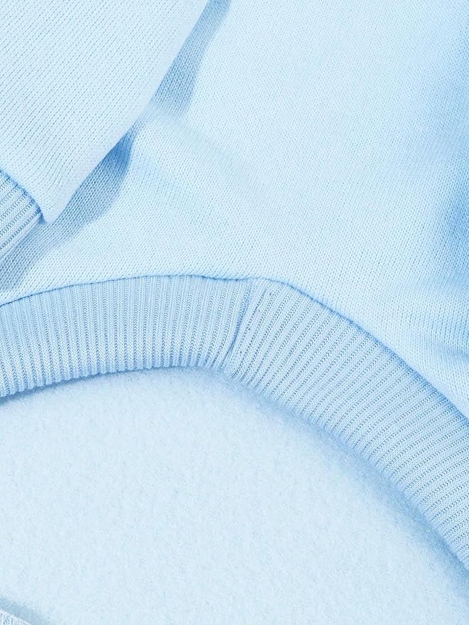 QWINEE Basic Dog Hoodie Sweatshirt Puppy Sweater Warm Cat Costumes Pet Clothes for Chihuahua Puppy Kitten Small Medium Dogs Light Blue X-Small