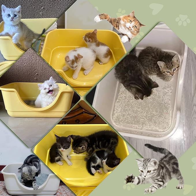 2 Pack Low Entry Small Litter Box for Kittens, Kitty Plastic Litter Boxes, Open Top, Anti-Splash High Sided Litter Tray Pan for Medium Pets, Puppy, Easy to Clean, 15.7"L*11.8"W*6.7"H (Black)