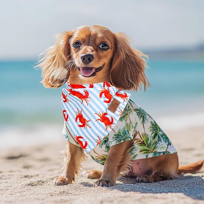 JarThenaAMCS 2Pcs Sea Dog Bandana Summer Ocean Animal Theme Triangle Pet Scarf Double-Sided Adjustable Pet Neckerchief for Hawaii Beach Party Decor Small Medium Large Dog Costume Accessories