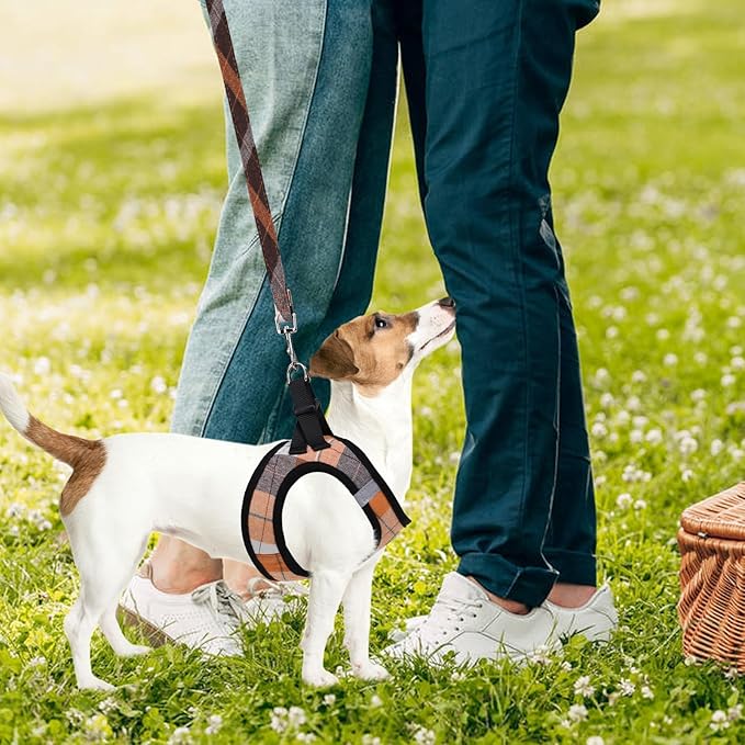 PUPTECK Adjustable Dog Harness Collar and Leash Set Step in No Pull Pet Harness for Small Medium Dogs Puppy and Cats Outdoor Walking Running, Soft Mesh Padded Reflective Vest Harnesses, Orange XL