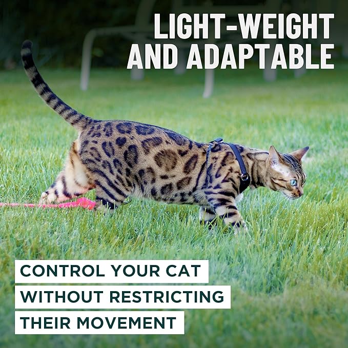 Houdini™ Escape Proof Cat Harness and Leash Set by OutdoorBengal – Tactical Vest for Walking – Comfy, Adjustable and Lightweight - Houdini Cat Harness Escape Proof for Cats + Cat Leash (Pink, M)