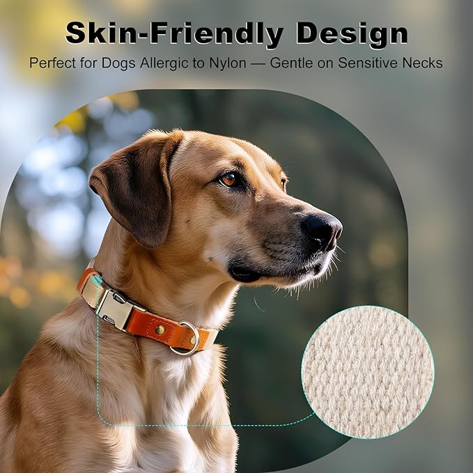 Plutus Pet Genuine Leather & Hemp Dog Collar – Adjustable Heavy Duty Pet Collar with Quick Release Metal Buckle, Soft & Stylish for Puppy and Small, Medium, Large Dogs (Beige, S)