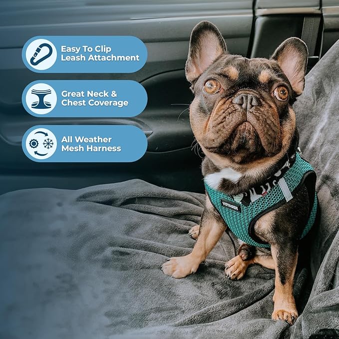 Best Pet Supplies - All Weather Mesh/Plush, Reflective, No Pull Harness for Small, Medium Dogs, Cats - Secure with Hook & Loop Fastener, Buckle, Double D-Rings - Turquoise 2-Tone, XL