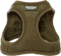 Downtown Pet Supply Step-in Dog Harness – No Pull, Adjustable Padded Mesh with Reflective Trim, Secure Buckle Strap – Comfortable & Breathable Small Dog Harness, Small, Hunter Green