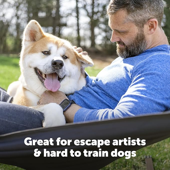 PetSafe Stubborn Dog In-Ground Fence Reciever Collar - Waterproof & Battery-Operated Adjustable Invisible Boundary Training Collar - for Dogs Older Than 6 Months Weighing 8lb+