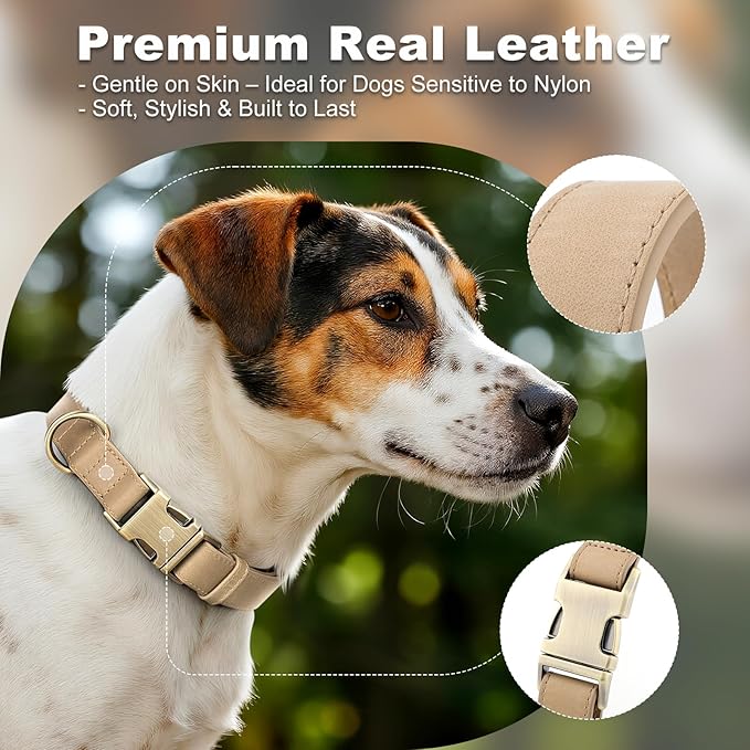 Plutus Pet Genuine Leather Dog Collar – Adjustable Pet Collar with Quick Release Metal Buckle, Soft Real Leather for Small Medium Large Dogs, Heavy Duty & Skin-Friendly (Beige, L)