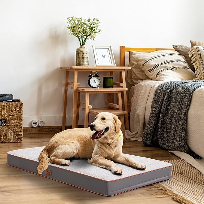 Sunheir Orthopedic Dog Beds for Small Dogs, Waterproof Puppy Bed with Removable Washable Cover, Non-Slip Bottom and Egg-Crate Foam, (Light Grey, 24.0" L x 16.0" W x 3.0" Th)