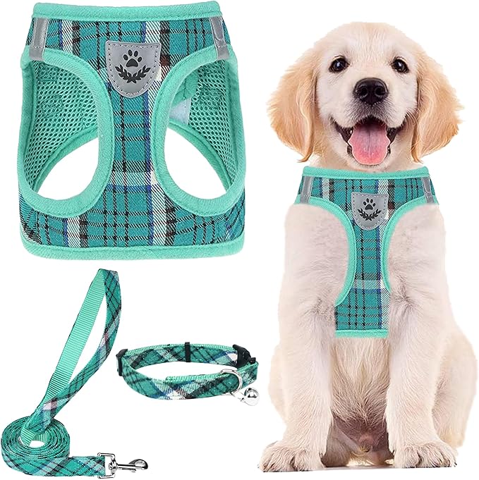PUPTECK Adjustable Dog Harness Collar and Leash Set Step in No Pull Pet Harness for Small Medium Dogs Puppy and Cats Outdoor Walking Running, Soft Mesh Padded Reflective Vest Harnesses, Lake Green XXS