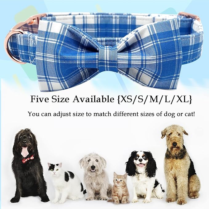 Lionheart glory Dog Collar, Boy Dog Collar Bowtie Blue Adjustable Dog Bowtie Collar Bows Dog Collar for Large Dogs