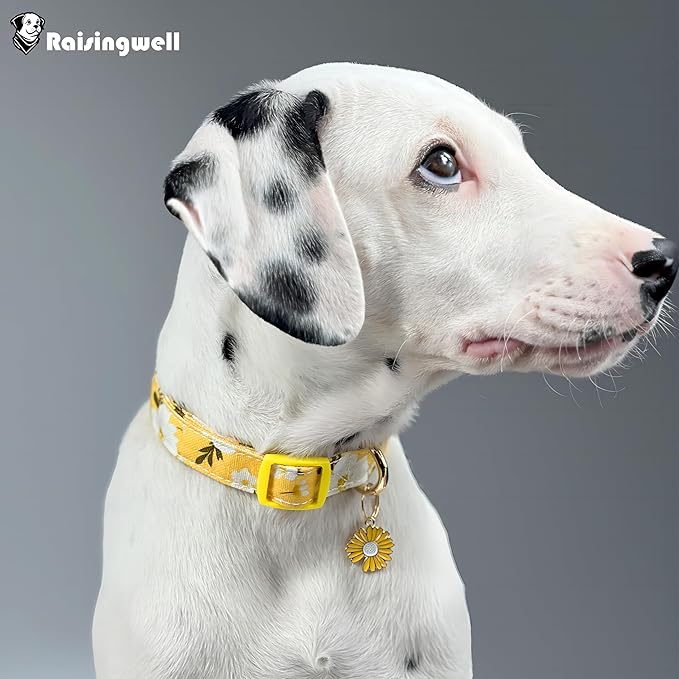 Cotton Dog Collar Yellow Flower Pattern for Boys and Girls Cute Dog Collars Summer Fall Gift Adjustable for Medium to X-Large Breed Dogs (L)
