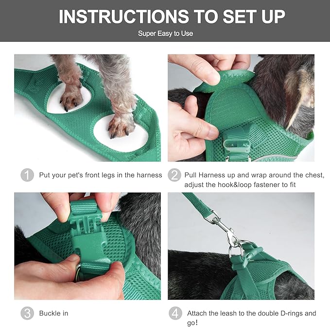 Fida Cat Harness and Leash Set for Walking Kitten and Puppy, Escape Proof Kitten Harness with Breathable Lightweight Soft Mesh, Adjustable Reflective Step-in Design. (XXXS, Green)