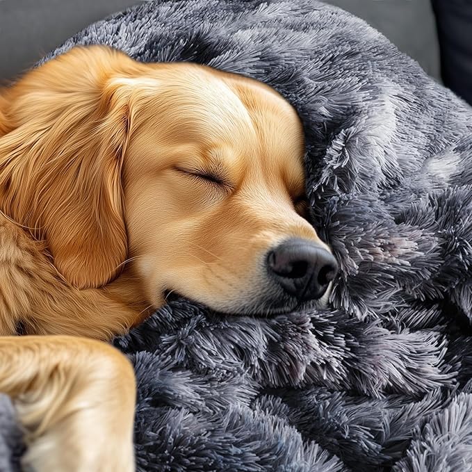 Luciphia Large Waterproof Dog Blanket Pet Washable Liquid Proof Furniture Protector Small Shaggy Plush Calming Long Faux Fur Bed Cover for Couch Cat Blankets for Kitten Doggy, Tie-dye Grey, 30" x 40"