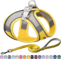 AIITLE Easy Walk Dog Harness and Leash Set - Pet Supply No Pull, Step in Adjustable Dog Harness with Padded Vest, Dog Harness No Choke Over, Easy to Put on Medium Dogs Yellow L