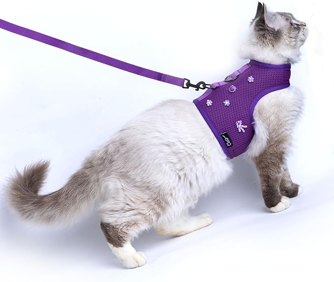 Kitty Harness and Leash for Walking Escape Proof Breathable Mesh Fabric, Purple, Small, Adjustable Cat Walking Jackets with DIY Beads, Padded Stylish Cat Vest