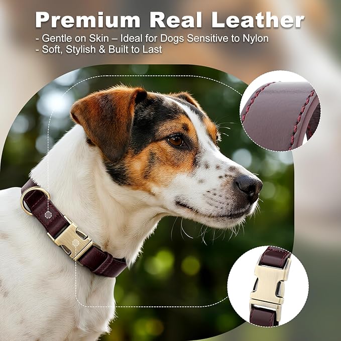 Plutus Pet Genuine Leather Dog Collar – Adjustable Pet Collar with Quick Release Metal Buckle, Soft Real Leather for Small Medium Large Dogs, Heavy Duty & Skin-Friendly (Copper Brown, M)
