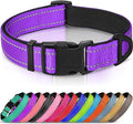 Joytale Reflective Dog Collar, Soft Neoprene Padded, Metal D-Ring, Nylon Pet Collar Adjustable for Medium Dogs, Purple, M