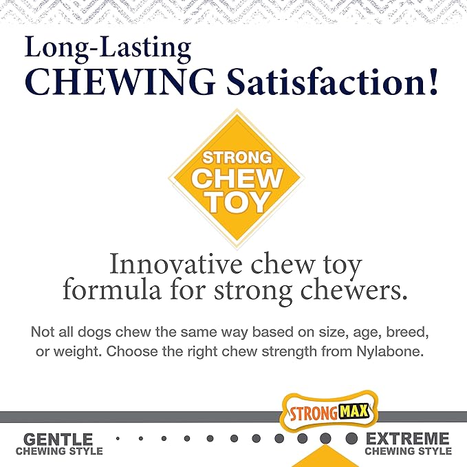 Nylabone Gourmet Style Wishbone Strong Chew Toy for Dogs, Bacon Flavor, Small - Up to 25 lbs, 1 Count