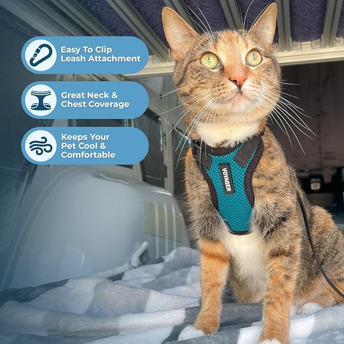 Voyager Escape-Proof Step-in Lock Cat Harness & 5ft Neoprene-Handle Leash Set All-Weather Mesh with Reflective Stitching for Small to Large Cats by Best Pet Supplies, Turquoise/Black Trim, XS