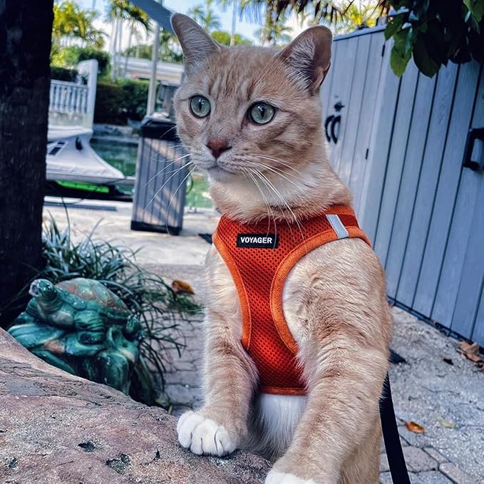 Best Pet Supplies Voyager Step-in Air All Weather Mesh Harness and Reflective Dog 5 ft Leash Combo with Neoprene Handle, for Small, Medium and Large Breed Puppies - Harness Leash Set (Orange), XS