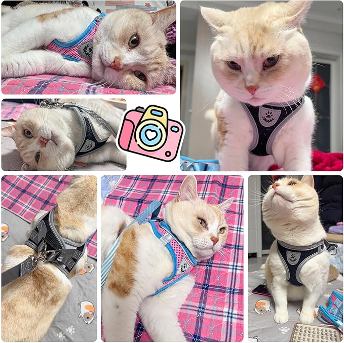 SCENEREAL Cat Harness and Leash Set Escape Proof, Adjustable Soft Air Mesh Kitten Harnesses for Girls Boys Small Medium Big Cats, Reflective Light Travel Pet Walking Vest for Puppy Rabbit, Red L