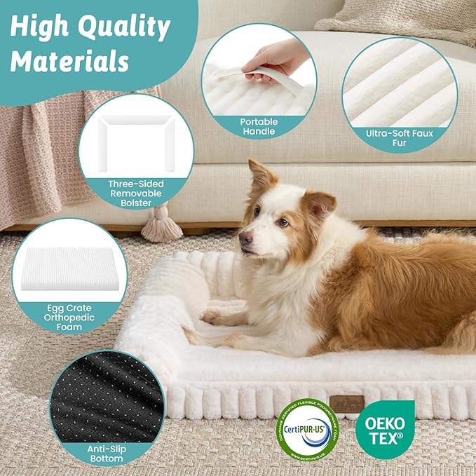 Cute Dog Bed for Medium Dogs, Faux Rabbit Fur Orthopedic Foam Dog Bed with Sides, Removable Washable Cover & Waterproof Lining, Comfortable Pet Couch, Cream (36" L x 27" W x 6.5" Th)