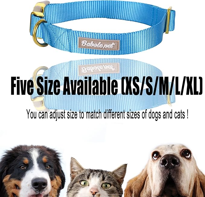 Nylon Dog Collar - Adjustable Blue Soft Webbing Dog Collars for Small Medium Large Dogs Boy Girl Puppy Collar with Safety Metal Buckle L