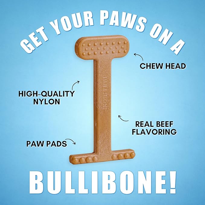 Bullibone Nylon Dog Chew Toy for Aggressive Chewers - Dental Hygiene Bone with Beef Flavor, Durable Tough Chew Toys for Large Dogs, Indestructible Dog Bone - 3 Pack