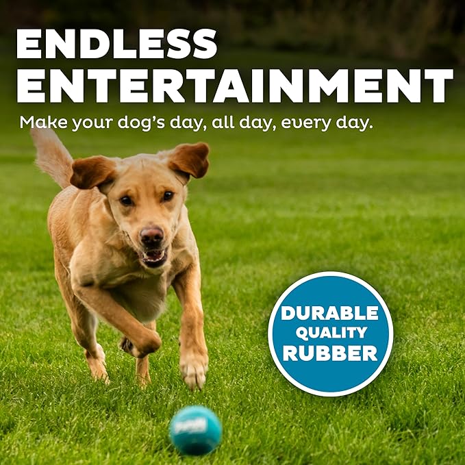 Outward Hound Squeaker Ballz – Squeaky Tennis Balls for Dogs Under 50 lbs, Interactive Dog Toy for Fetch & Training, Medium (2.5"), 4‑Pack