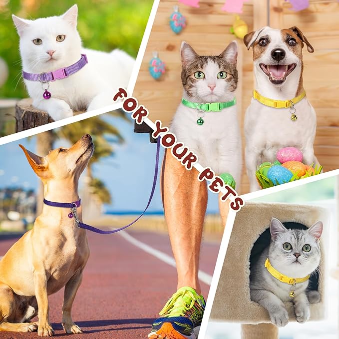 Amylove 48 Pcs Dog Collar and Leash Set, Polypropylene Adjustable Puppy Collars for Medium Dogs Small Pet Puppy Walking Training with Hook and Buckle(Multicolor,Solid Pattern)