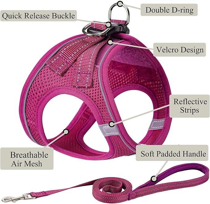 Dog Harness with Leash Set, No Pull Adjustable Reflective Step-in Puppy Pet Vest Harnesses for Small Medium Large Dogs and Cats,Rose Red L