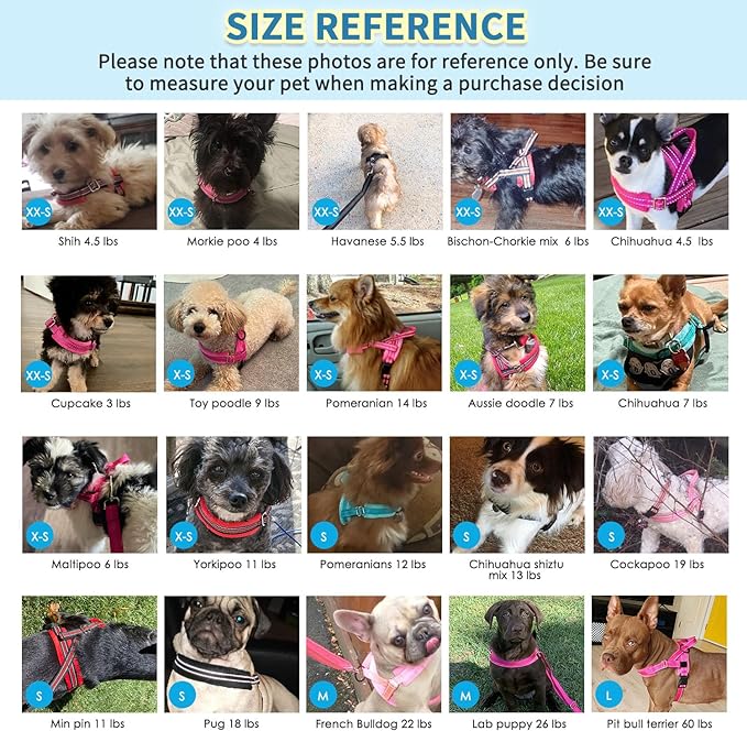 SlowTon No Pull Small Dog Harness and Leash Set, Puppy Soft Vest Harness Neck & Chest Adjustable, Reflective Lightweight Harness & Anti-Twist Pet Lead Combo for Small Medium Dogs (PU-Front Clip, XXS)