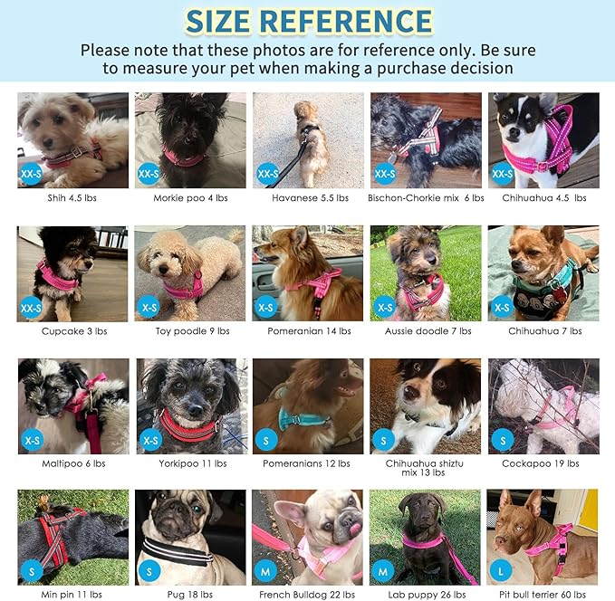 SlowTon No Pull Small Dog Harness and Leash Set, Puppy Soft Vest Harness Neck & Chest Adjustable, Reflective Lightweight Harness & Anti-Twist Pet Lead Combo for Small Medium Dogs (DB-Front Clip, S)
