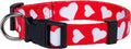 Native Pup Valentine’s Dog Collar- Valentines Day Pet Collars- Valentine Girly Hearts- Pink Red Heart- Cute Boy Girl Puppy Gift- Adjustable for Small, Medium, Large Breeds (Red Heart, Large)