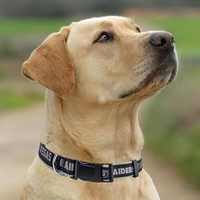 Pets First NFL Raiders Licensed PET COLLAR, Large - Heavy-Duty, Strong, and Durable Dog Collar. Available in 31 Football Teams and 4 Sizes