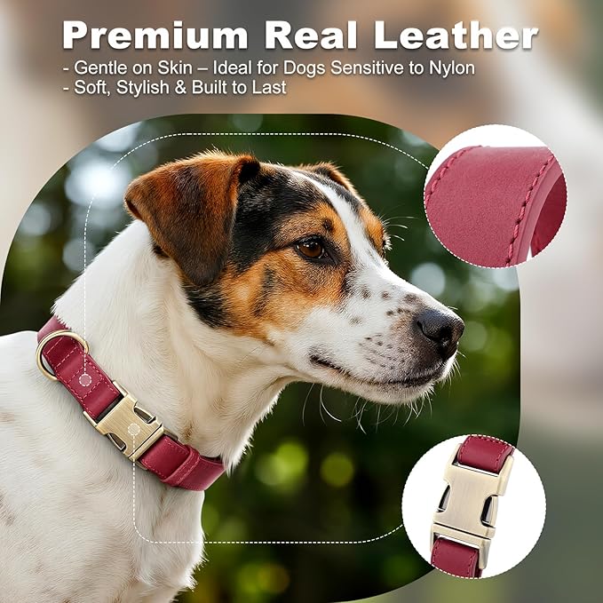 Plutus Pet Genuine Leather Dog Collar – Adjustable Pet Collar with Quick Release Metal Buckle, Soft Real Leather for Small Medium Large Dogs, Heavy Duty & Skin-Friendly (Burgundy, M)