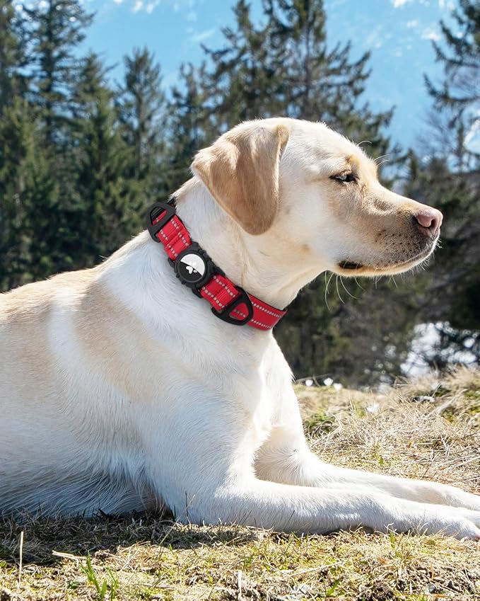 Joytale Airtag Dog Collar, Reflective Pet Collar with Waterproof AirTag Holder, Dual D-Rings, Soft Padded Adjustable for Large Dogs, Red, L