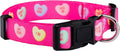 Native Pup Valentine’s Dog Collar- Valentines Day Pet Collars- Valentine Girly Hearts- Pink Red Heart- Cute Boy Girl Puppy Gift- Adjustable for Small, Medium, Large Breeds (Candy Hearts, Small)