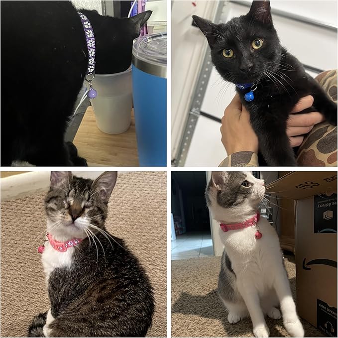 Green Breakaway Kitten Collar with Bells, [2 Pack] Break Away Cat Collar with Bells, Reflective Cat Collar for Girl Cats Boy Kitty