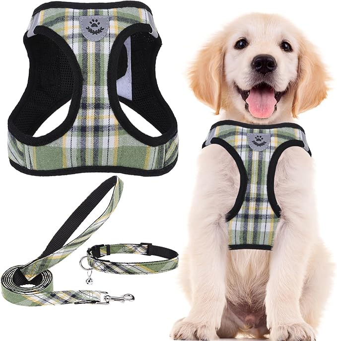 PUPTECK Adjustable Dog Harness Collar and Leash Set Step in No Pull Pet Harness for Small Medium Dogs Puppy and Cats Outdoor Walking Running, Soft Mesh Padded Reflective Vest Harnesses, Grn&YLW, XS