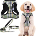 PUPTECK Adjustable Dog Harness Collar and Leash Set Step in No Pull Pet Harness for Small Medium Dogs Puppy and Cats Outdoor Walking Running, Soft Mesh Padded Reflective Vest Harnesses, Grn&YLW, XL