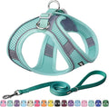 AIITLE Dog Harness, No-Pull Cat Harness with a Leash, Adjustable Reflective Dog Vest, Cat Harness Escape Proof, Outdoor Walking, Running for Extra Small Dogs and House Cats Pure Turquoise XXXS