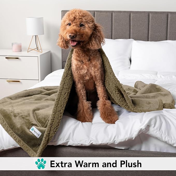 PetAmi Dog Blanket for Medium Large Dogs, Pet Bed Blanket Cat Puppy Kitten, Fleece Furniture Couch Cover Protector Sofa Car, Soft Sherpa Dog Throw Plush Reversible Washable, 40x60 Solid Taupe