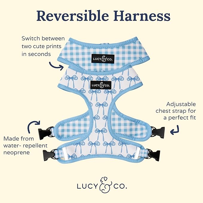Lucy & Co. Cute Reversible Dog Harness Walking Halter - Best Designer Pet Harnesses for XS - XL Dogs - Padded Adjustable Vest for Easy Walking - X Small - White with Blue Bows