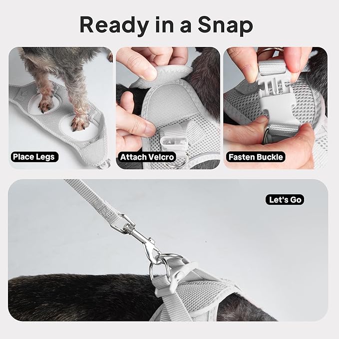 PetiFine Step in Small Dog Harness and Leash Set, Breathable All Weather Air Mesh Reflective Escape Proof, Step-in Vest Harnesses for Puppy(XS, Grey)
